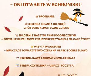 Tak dużo kotów dawno tam nie było. Schronisko w Henrykowie koło Leszna zaprasza na dni otwarte