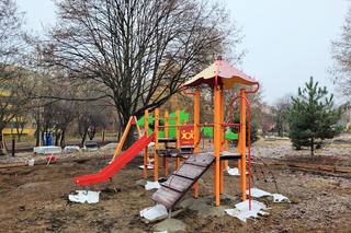W mieście będzie jeszcze bardziej zielono. Trwają prace w krakowskich parkach