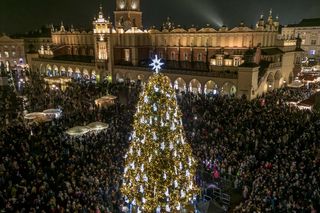 Najpiękniejsza choinka na świecie znajduje się w Polsce! Gdzie ją zobaczyć? 
