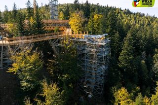 Ścieżka w koronach drzew w Wiśle