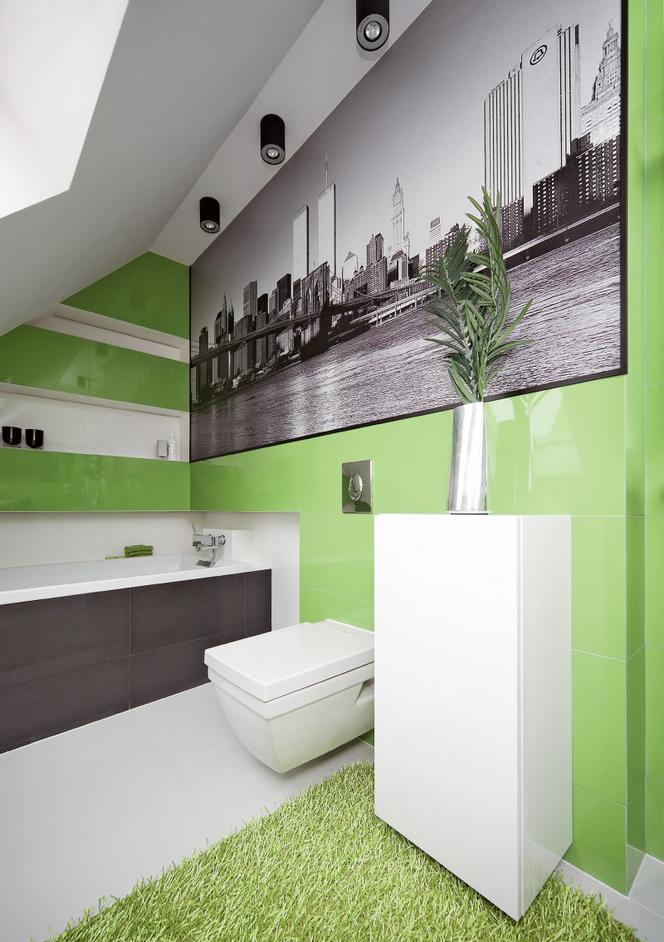 Zielona łazienka: zdjęcia łazienek