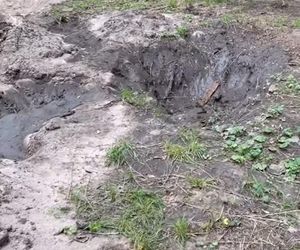 Urządzili sobie tor przeszkód w zabytkowym parku