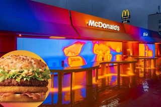 Drwal 2025 już jest! Klasyczna wersja dostępna w całej Polsce