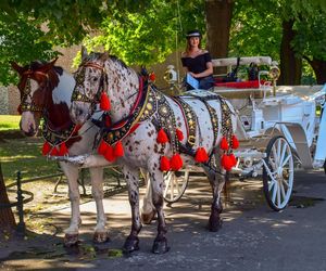 To miasto w Małopolsce to najlepszy city break w Europie. Jest popularniejsze nawet od Wenecji