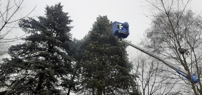 Choinka na LSM jest już ozdobiona. Dzieci przygotowały recyklingowe ozdoby [GALERIA, WIDEO]