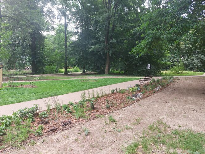 Park im. Szafera w Rzeszowie 