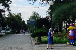 Gryfusy na ulicach Szczecina