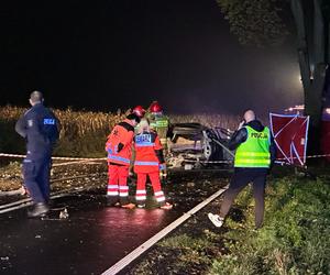 Volvo wbiło się w drzewo i stanęło w płomieniach. Kierowca spłonął żywcem! 