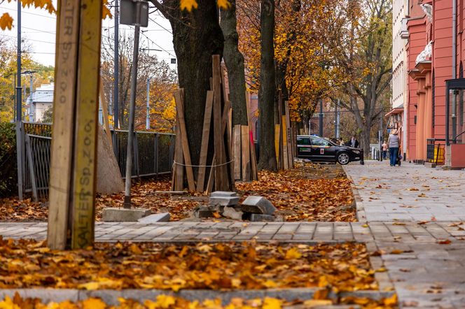 Likwidacja parkingu przy ul. Filtrowej w Warszawie