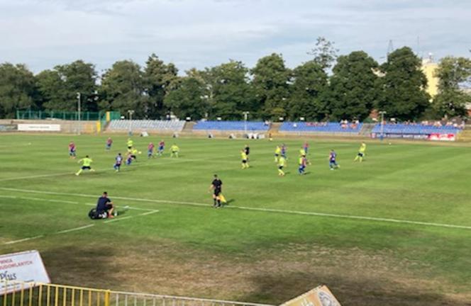 Warta Odra