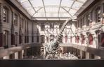 Muzeum Historii Naturalnej w Berlinie według WXCA