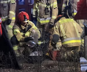 Lublin. Atak na salon masażu! Wszystkie służby w akcji