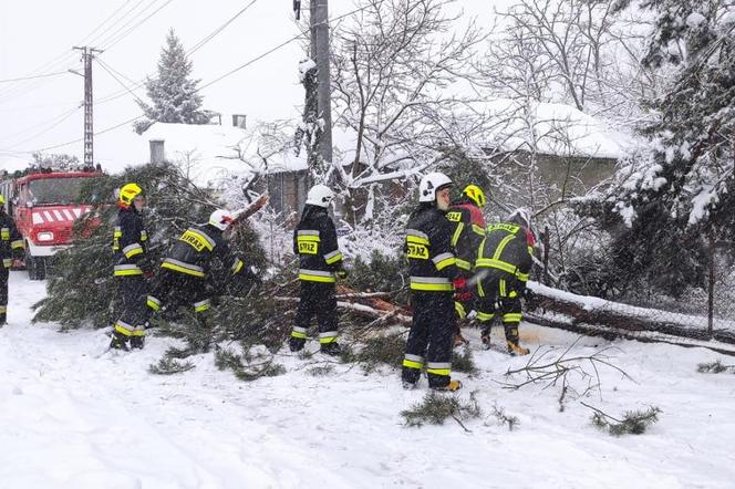 266 interwencji strażaków w Małopolsce. Miniona doba nie należała do spokojnych