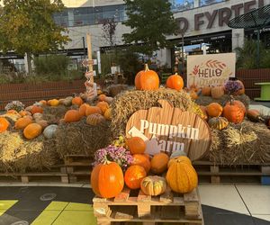 Zobacz, jak poznańskie świętują Halloween