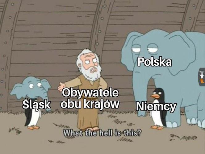 Memy o Śląsku i Ślązakach