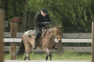 Daniel Olbrychski: Kowboj z Podkowy Leśnej