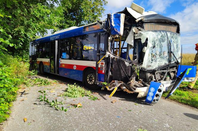 Pod Bydgoszczą autobus podmiejski uderzył w drzewo. Kilkanaście osób jest rannych!