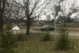 Jeden samochód na pustym Park & Ride w Bydgoszczy! Widok zaskoczył wiernych z kościoła na Czyżkówku [GALERIA]