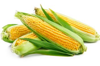 6 miesiąc ciąży - kolba kukurydzy