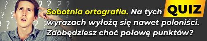 QUIZ. Sobotnia ortografia. Na tych wyrazach wyłożą się nawet poloniści. Zdobędziesz choć połowę punktów?