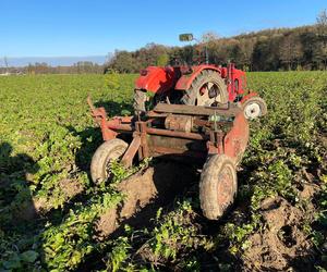 Rolnik wpadł pod jadący ciągnik! Mężczyzna trafił do szpitala [ZDJĘCIA]
