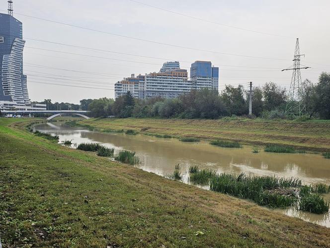 Wysoka woda na Wisłoku po ulewach