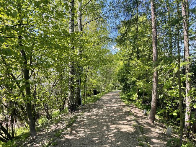 Najdłuższy park w Polsce jest w Krakowie. Ledwo widać go na mapach, a jest pełen atrakcji