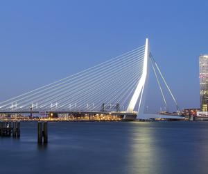6. Rotterdam