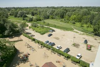 Chrząszcz blokuje budowę drogi