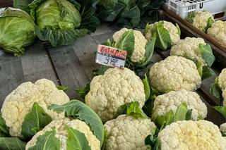 Sprawdziliśmy ceny warzyw i owoców na rynku w Toruniu