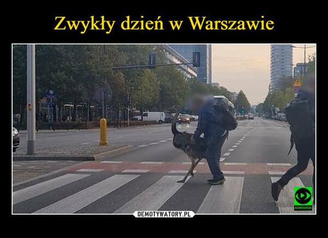  Tak internauci śmieją się ze stolicy! TOP 22 memów o Warszawie
