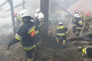 Tragedia w Jasienicy Rosielnej, pożar zabrał im dorobek życia.  Otrzymają 50 tys. złotych z budżetu województwa