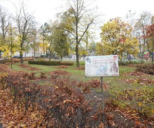 Park im. Cyryla Sroczyńskiego we Wronkach 