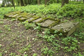 Cmentarz żydowski w Leżajsku