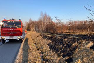 Pożar trawy w Zaczarniu. Nie żyje mężczyzna