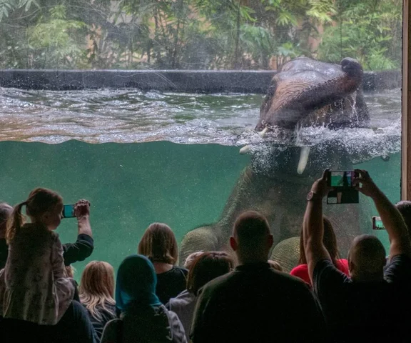 Oto największa atrakcja dla rodzin z dziećmi