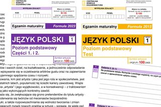 Matura język polski 2025. Arkusze CKE i odpowiedzi. Co było na maturze?