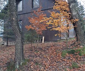 Remont chyży łemkowskiej w Hańczowej