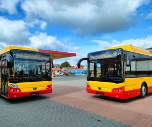 Od sierpnia niektóre autobusy pojadą inaczej. Sprawdź, co się zmieni! 