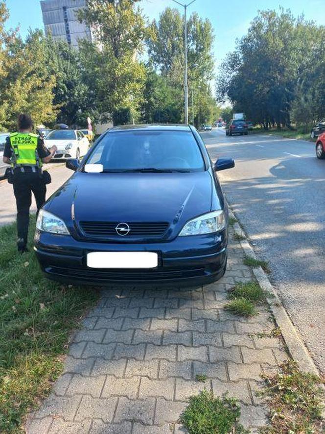 Tak parkują „miszczowie” z Katowic. Straż miejska interweniowała ponad 300 razy