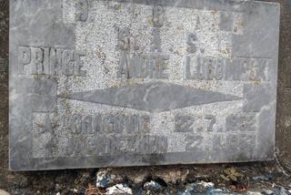Brazylijski dziennikarz odnalazł grób polskiego księcia