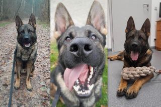 Jack to nowy funkcjonariusz policji. Będzie wyszukiwał ludzkie zwłoki