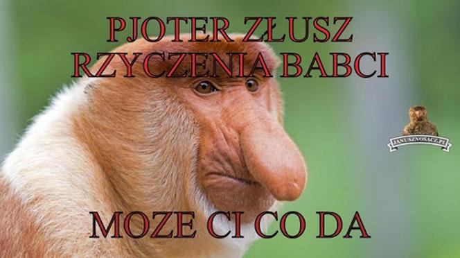 Memy na Dzień Babci 2025 [GALERIA]