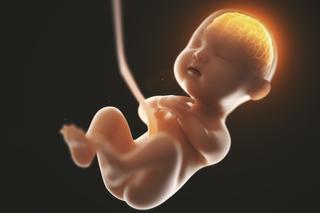 5 miesiąc ciąży: rodzą się zmysły 