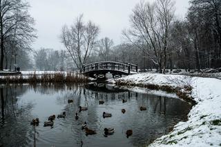 Skawiński park w zimowej otoczce