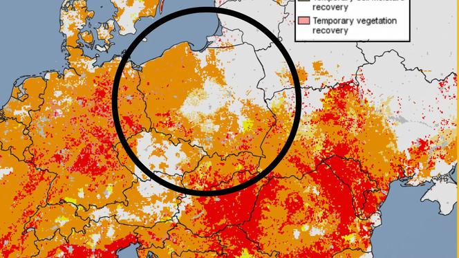 Tak źle nie było od 500 lat! Duża część Polski poważnie zagrożona