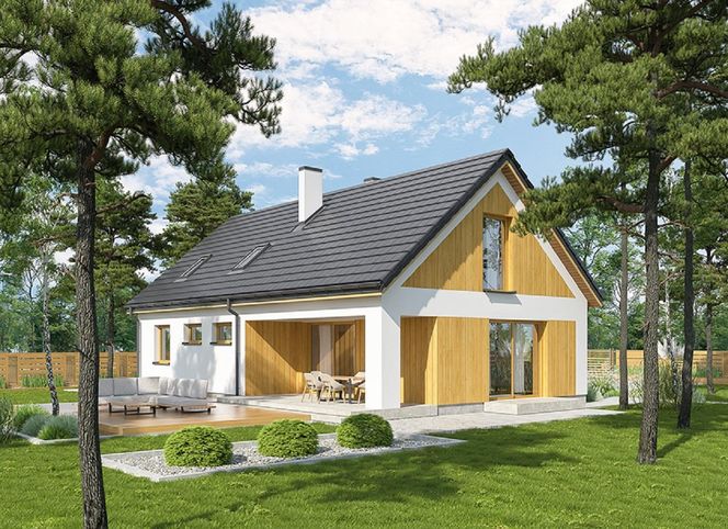 A101 - prosta bryła, nowoczesne akcenty