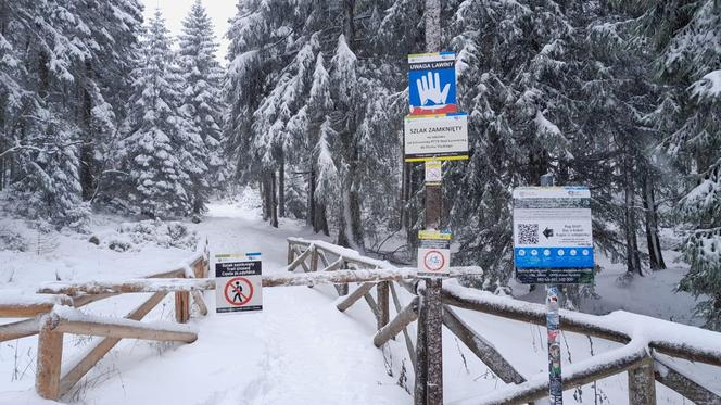 Zagrożenie lawinowe w Karkonoszach. Część popularnych szlaków zamknięta