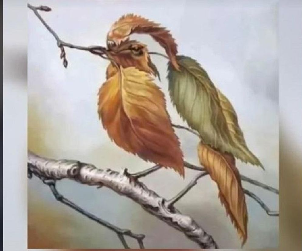 Jesteś inteligentny? W 3 sekundy poznasz prawdę. Jeśli to zobaczysz na obrazku możesz być spokojny. Test internetowy