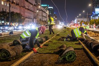 Wielki powrót tramwajów na Marszałkowską. Pojadą po zielonym dywanie